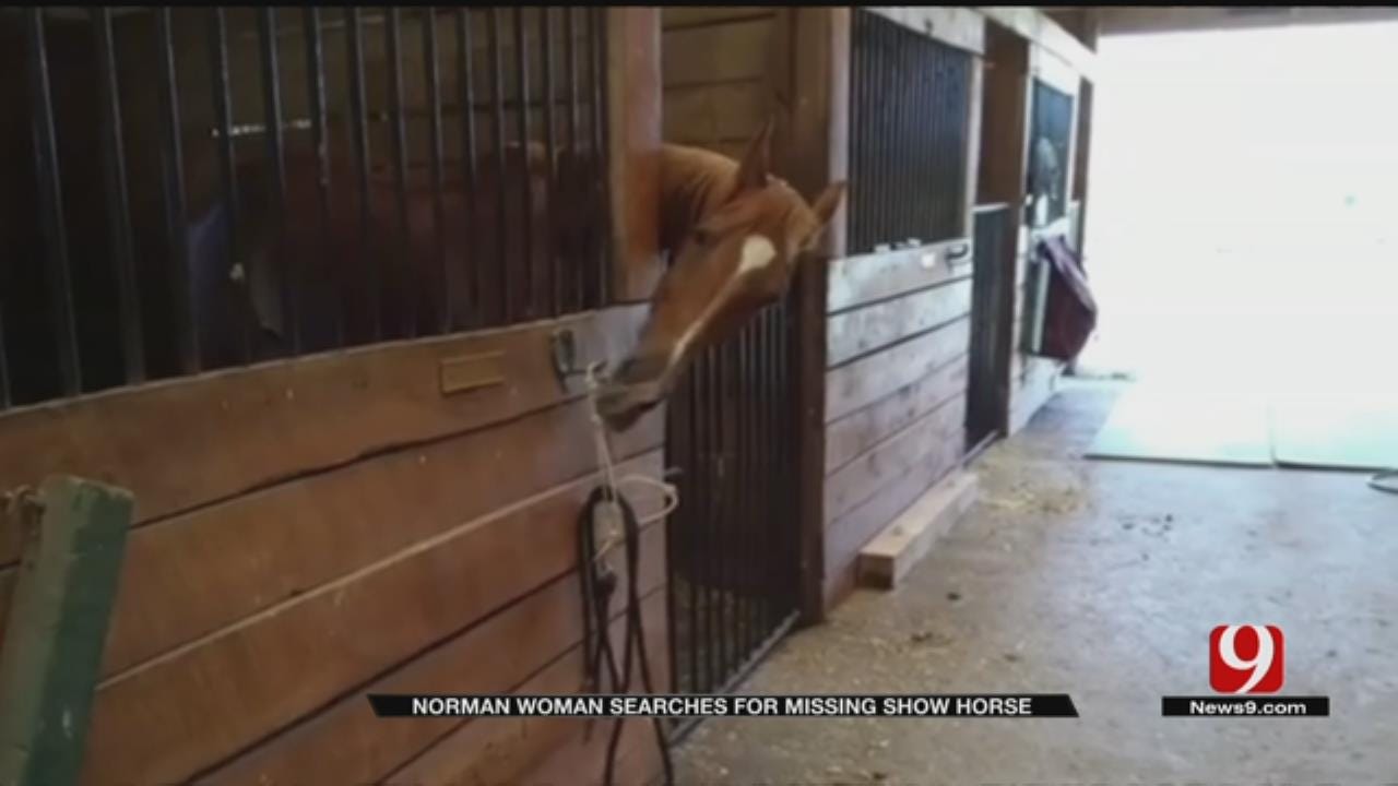 Prized Show Horse Missing From Norman