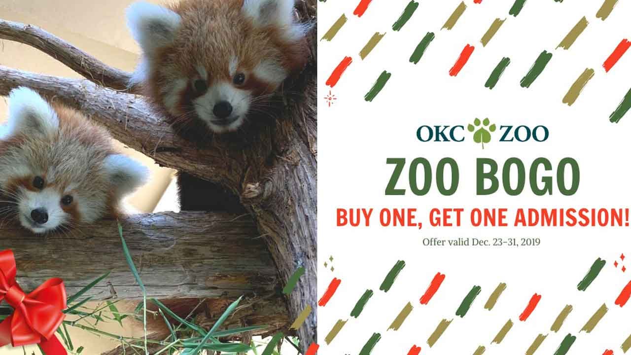 Oklahoma City Zoo Offers BOGO Ticket Admission Deal