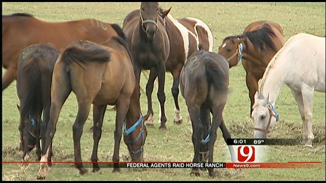 Locals React To Quarter Horse, Drug Cartel Operation In Lexington