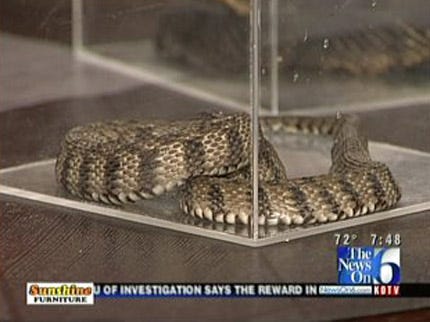 Wild Wednesday Takes A Look At Cottonmouth Snakes