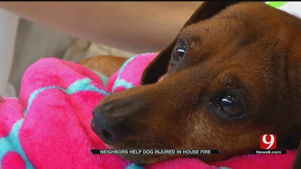 Dog Recovering After Mustang House Fire Claims Owner’s Life