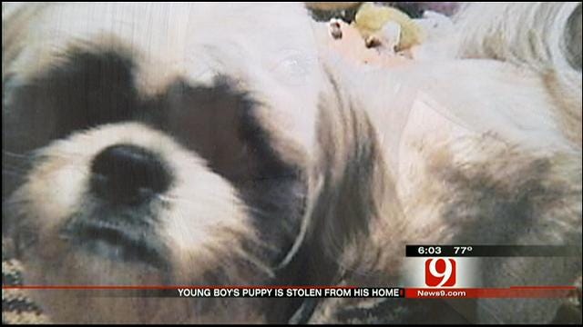 Del City Family Pleads For Return Of Missing Dog