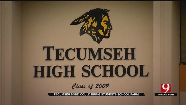 $12.3 Million Bond Proposed For Tecumseh Schools
