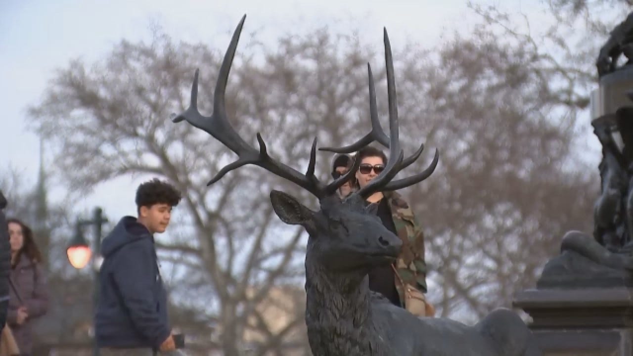 Police: Man Slips, Impales Himself On Deer Statue