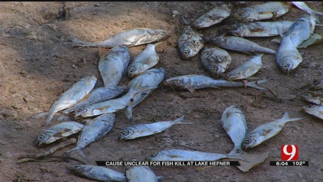 DEQ: Cause Unclear For Fish Kill At Lake Hefner