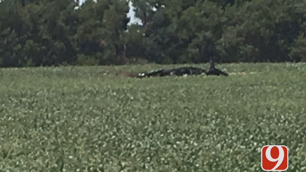 WEB EXTRA: One Dead In Small Plane Crash Near Burns Flat