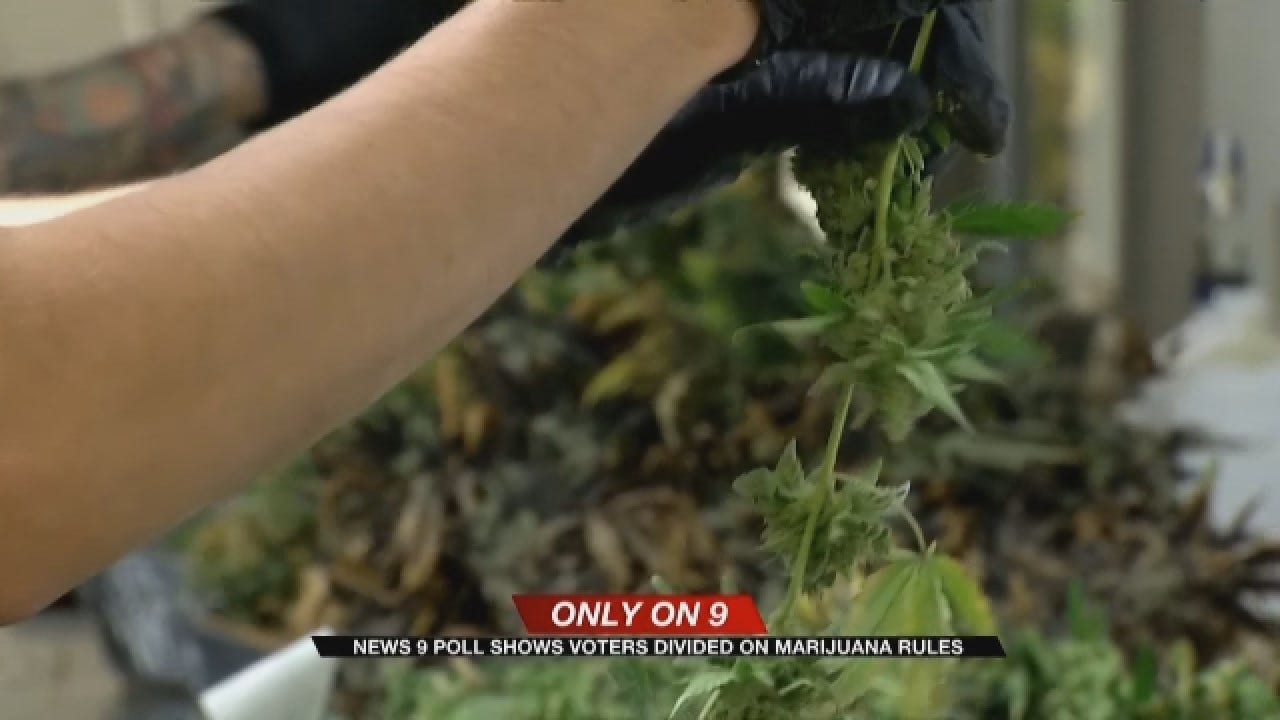 News 9 Poll Shows Voters Divided On Medical Marijuana Rules