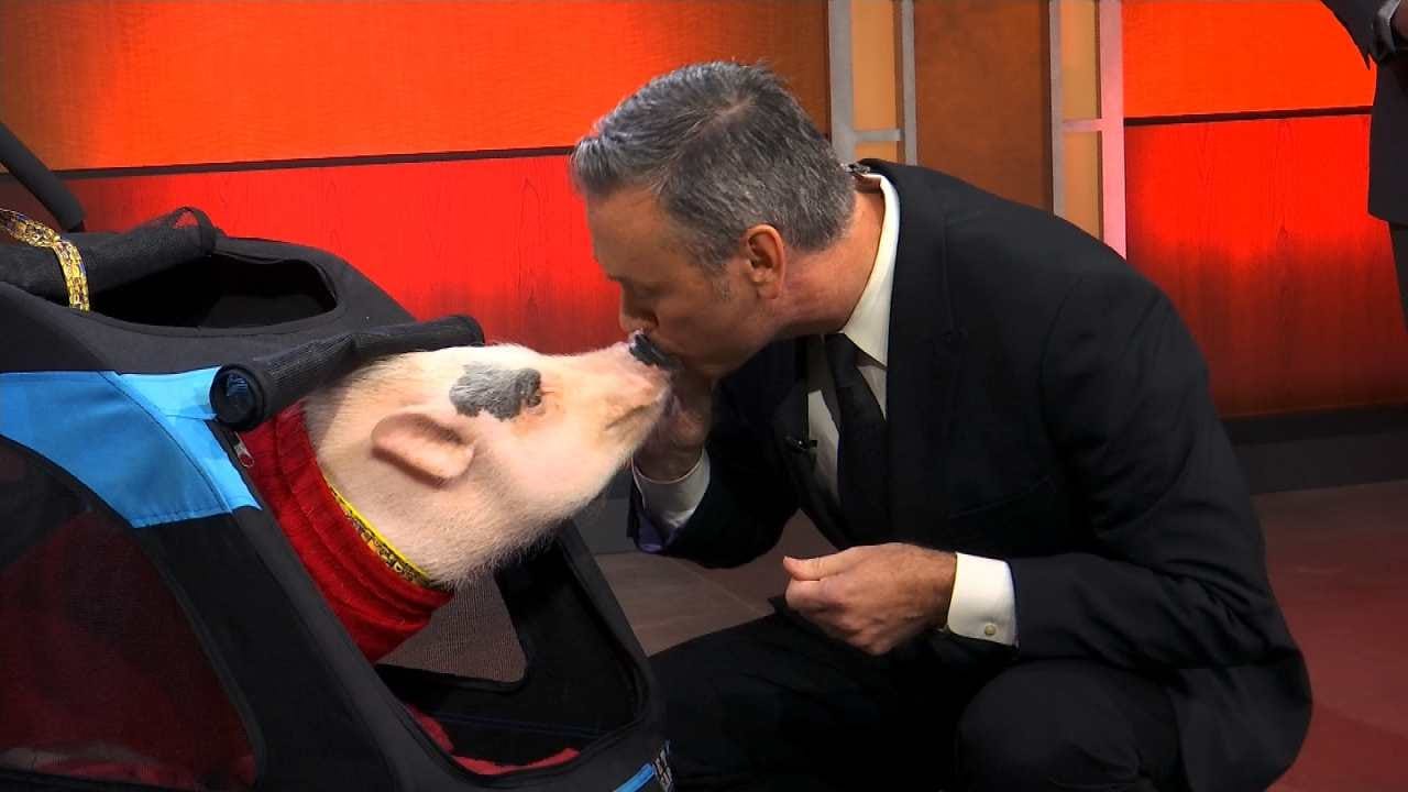 Watch Meteorologist Alan Crone Kiss Raisin The Pig On 6 In The Morning