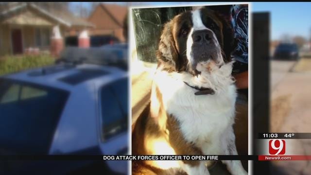 Man In Serious Condition Following 'Vicious' Dog Attack In NW OKC