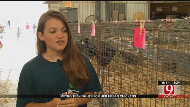 Metro Teen Fights For Her Urban Chickens