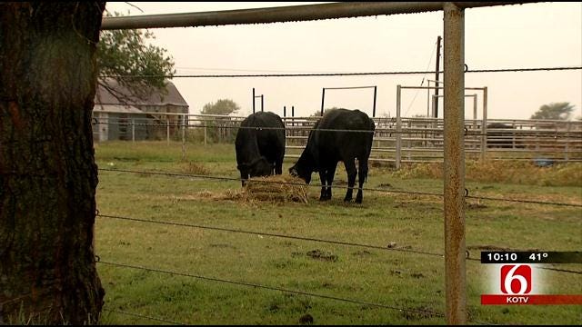Nowata County Sheriff Investigating String Of Cattle Killings