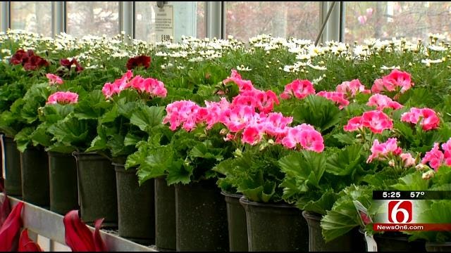 Hopes Of Good Weather Have Oklahomans Ready To Garden