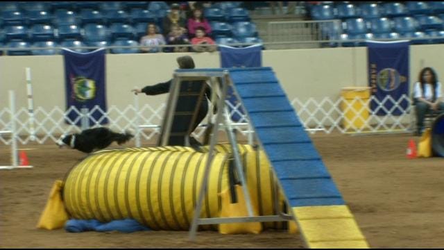 17th Annual National Canine Agility Championship Kicks Off In Tulsa