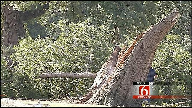 Microburst Leaves Trees, Power Lines Down All Over South Tulsa