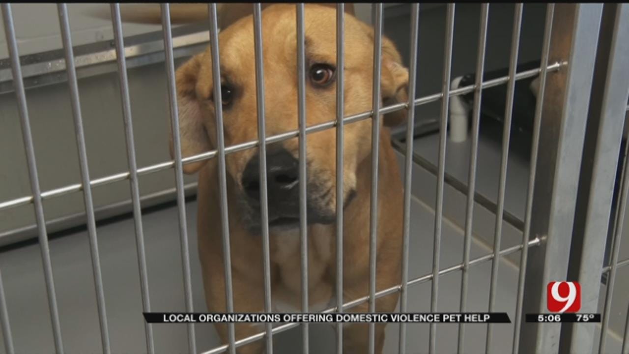 Local Organizations Team Up To Help Pets Affected By Domestic Violence