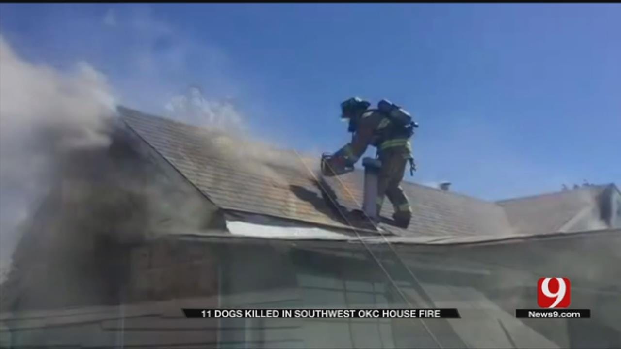 SW OKC House Fire Kills 11 Pets