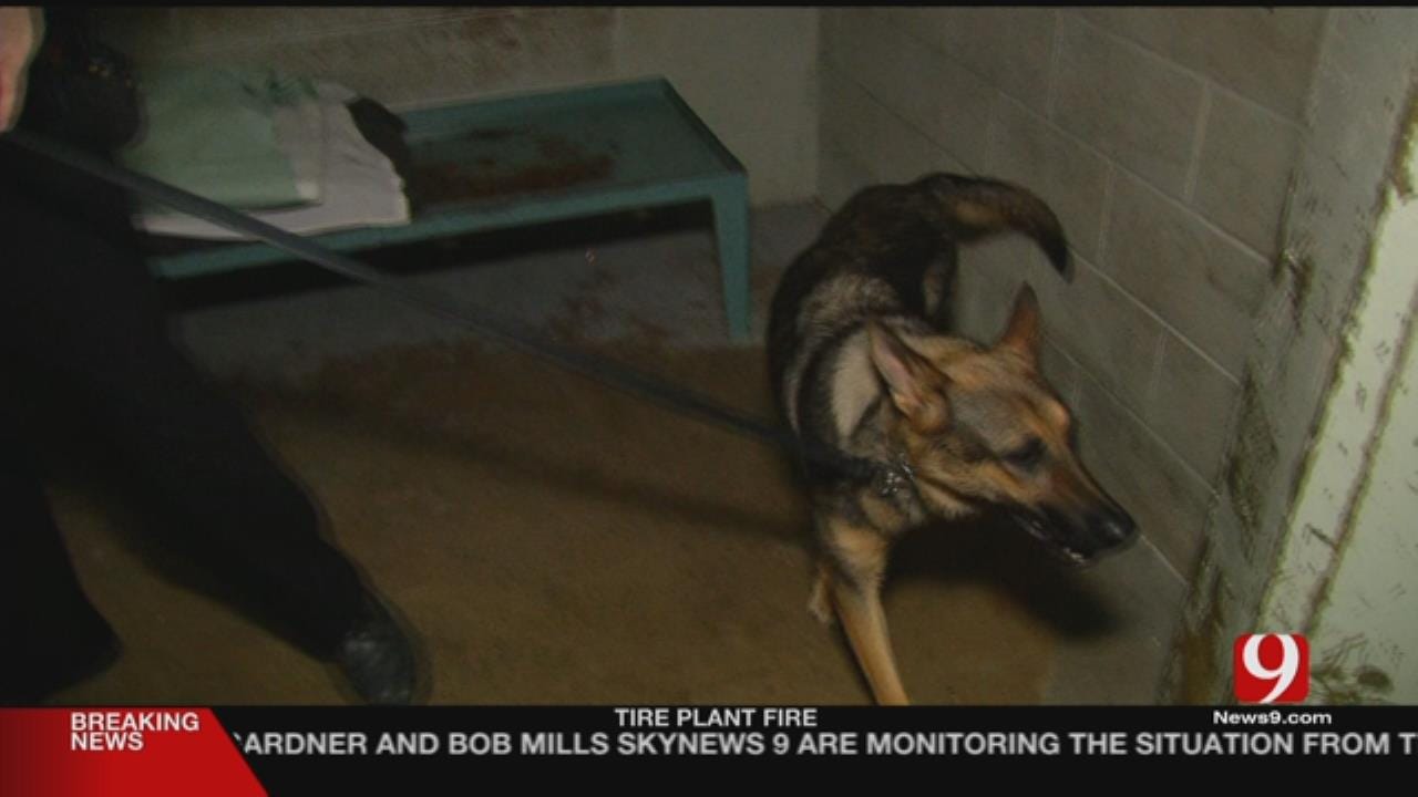 Oklahoma Co. Sheriff's Office Introduces New Jail Contraband K-9