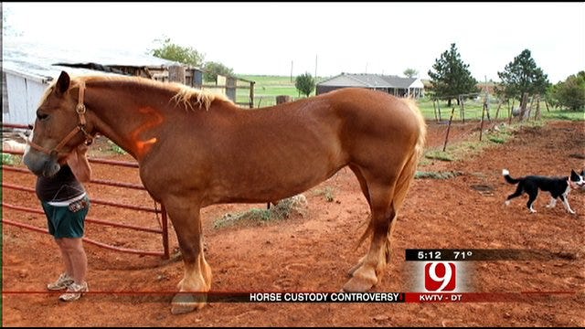 Piedmont Horse Owner's Horses May Be Gone For Good