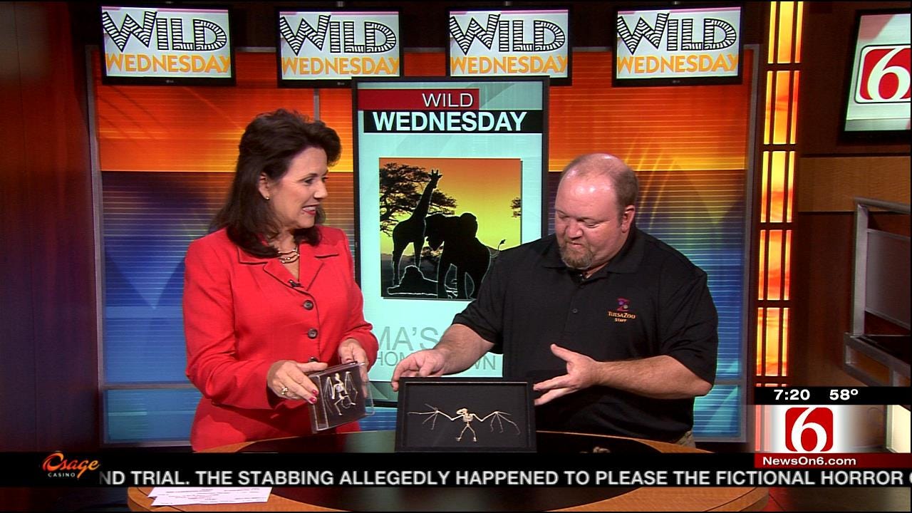 Wild Wednesday: Tulsa Zoo Teaches Wildlife Conservation