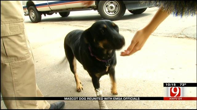 EMSA Mascot Dog Recovers After Return To OKC Facility