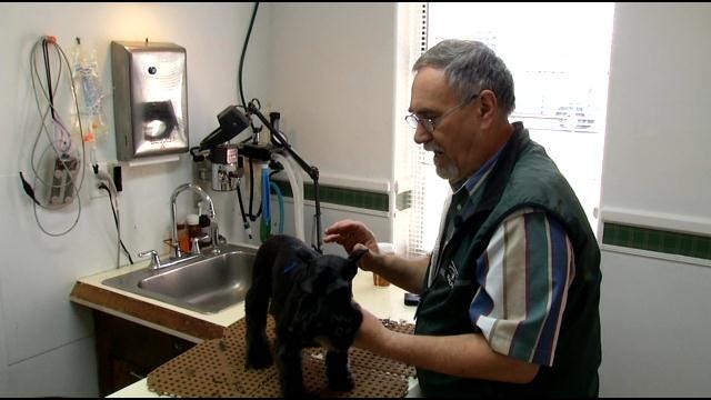 Tulsa 'Canine Cosmetologist' Is No Joke