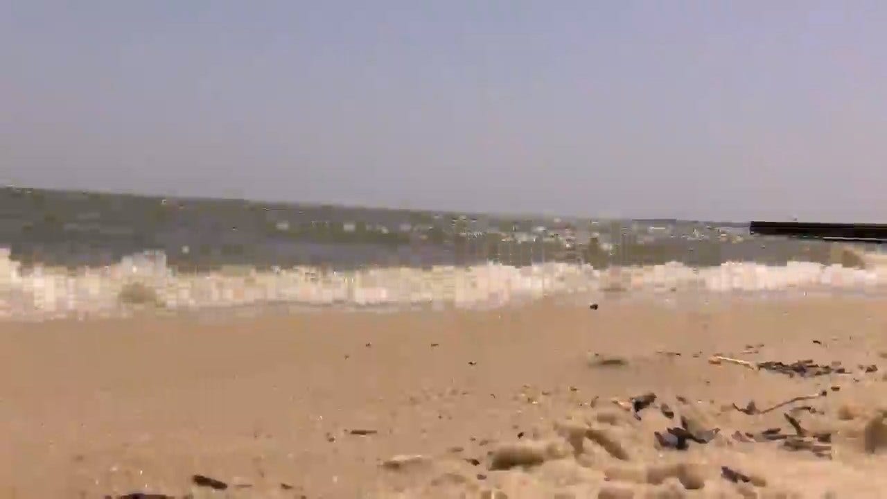 Closed Mississippi Beaches Due To Toxic Algae Hurting Local Businesses