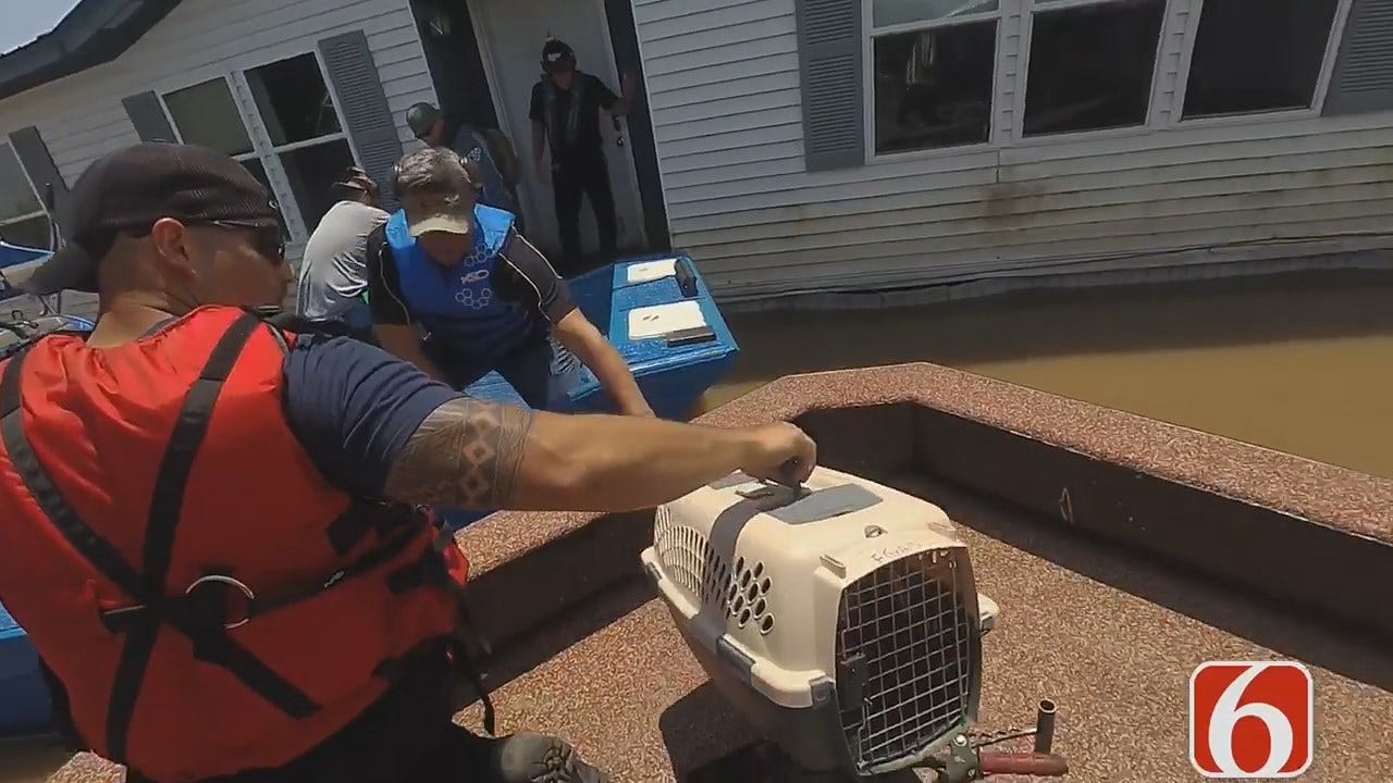 Muskogee Cat Reunited With Owner After 7 Days Of Flooding
