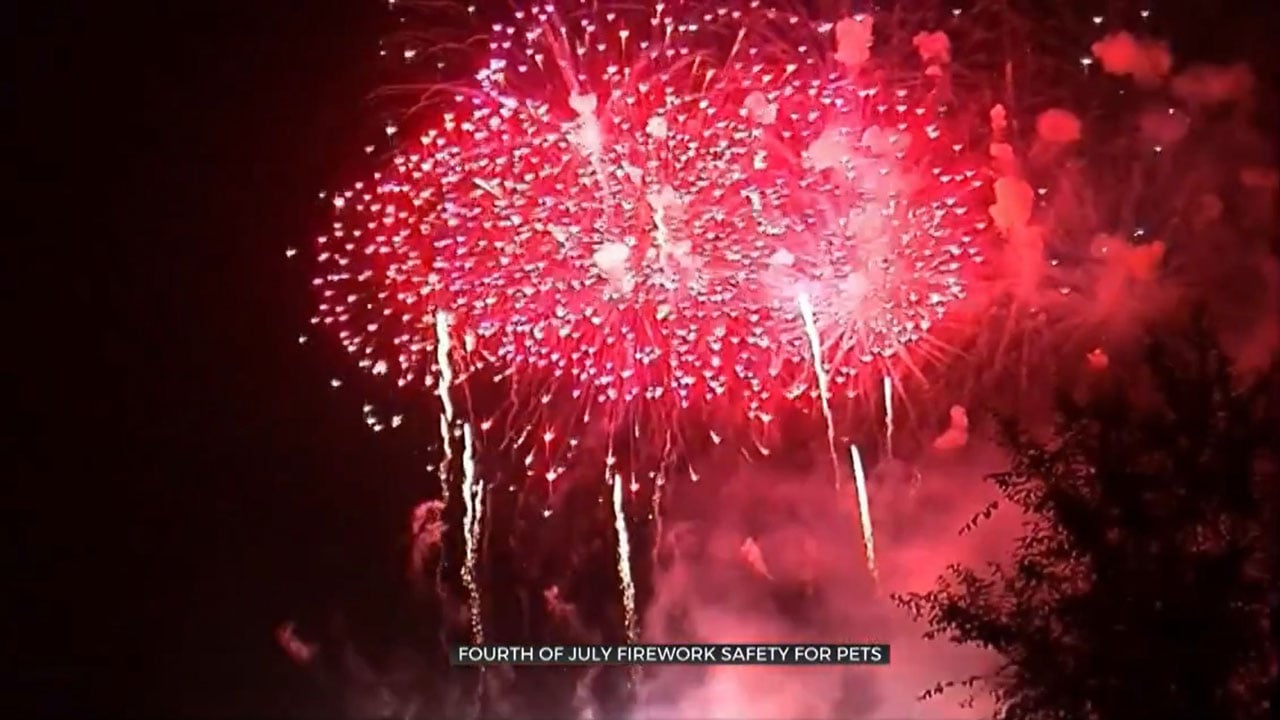 Pet Experts Give Fourth Of July Firework Safety Tips For Pets