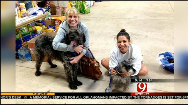 Tornado Victim Reunited With Dog