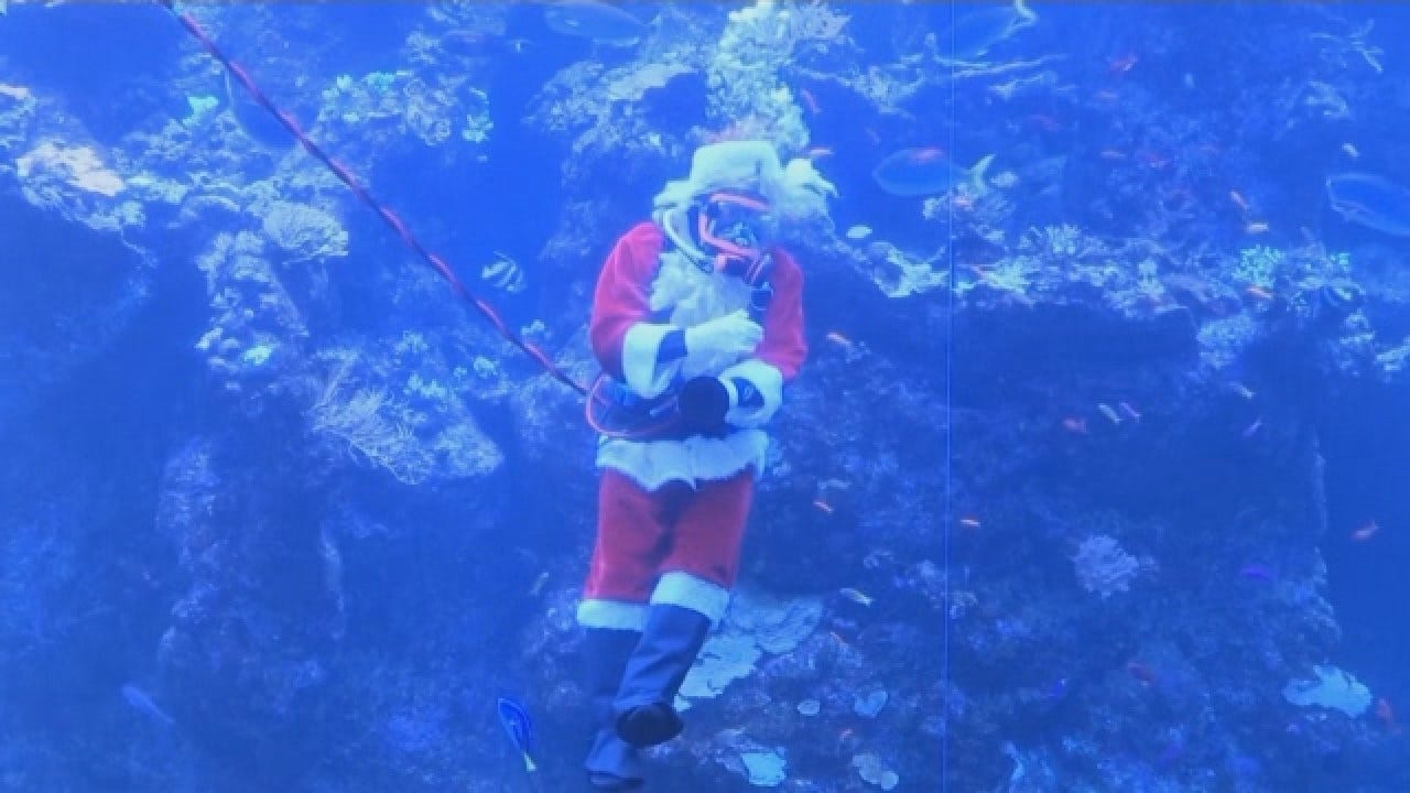 'Scuba Santa' Show Features St. Nick Feeding Fish In Coral Reef Tank