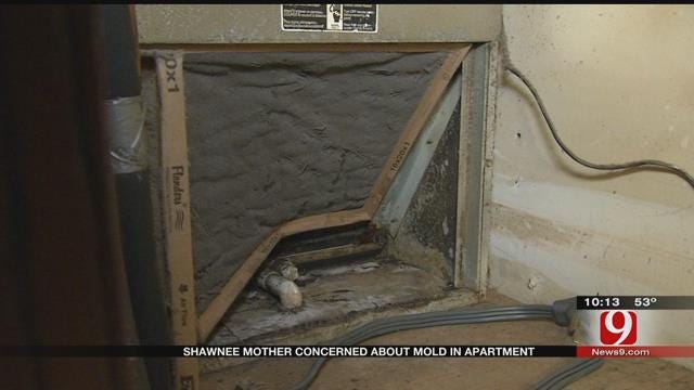 Shawnee Apartment Residents Say Mold Is Making Them Sick