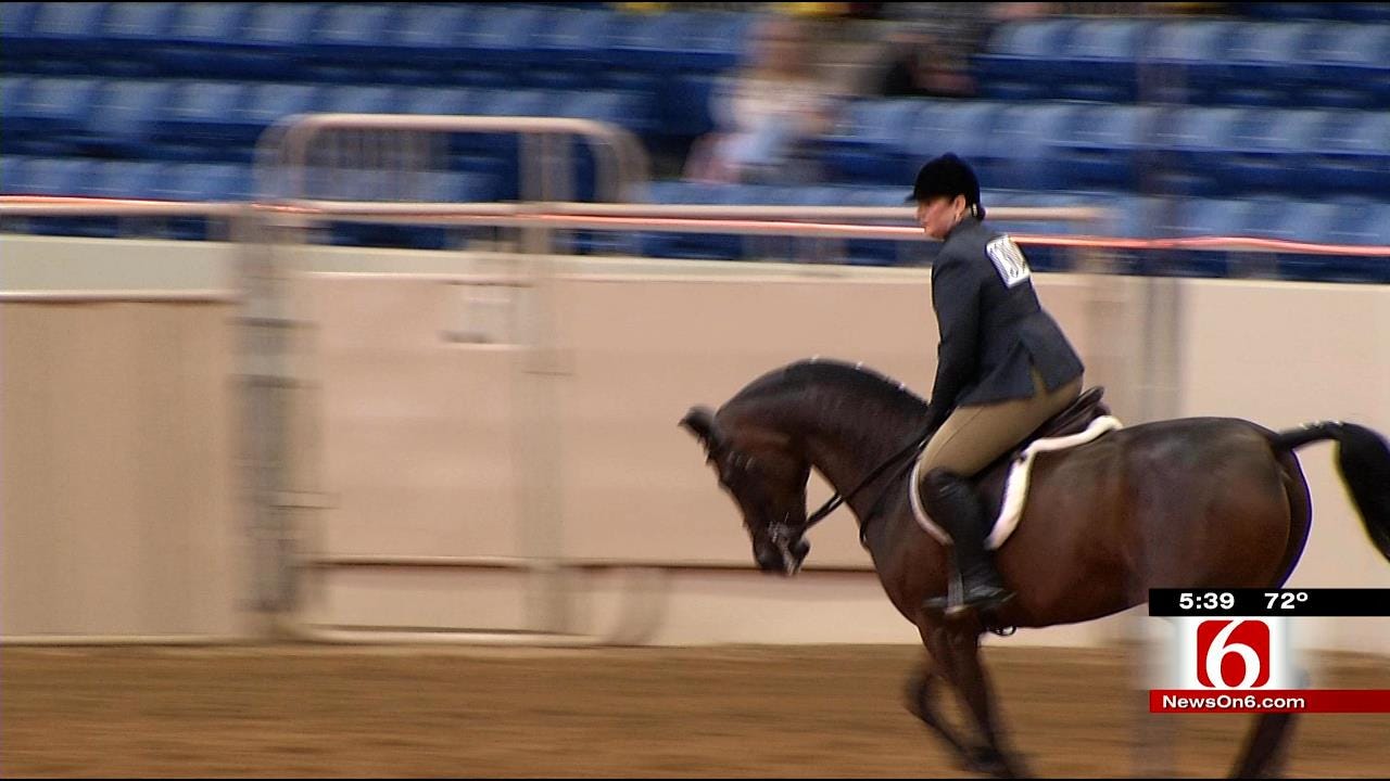 Horsemen Flock To Tulsa Fairgrounds For Arabian Championships