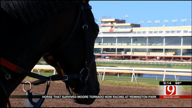Moore Tornado Horse Survivor Wins At Remington Park