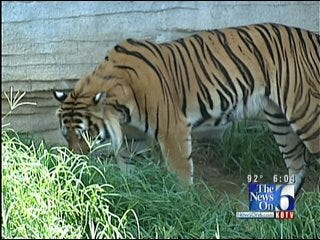 New Management Has New Plans For Tulsa Zoo