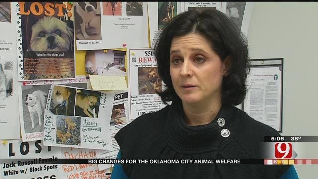 Improvements Reported In 2015 At OKC Animal Welfare