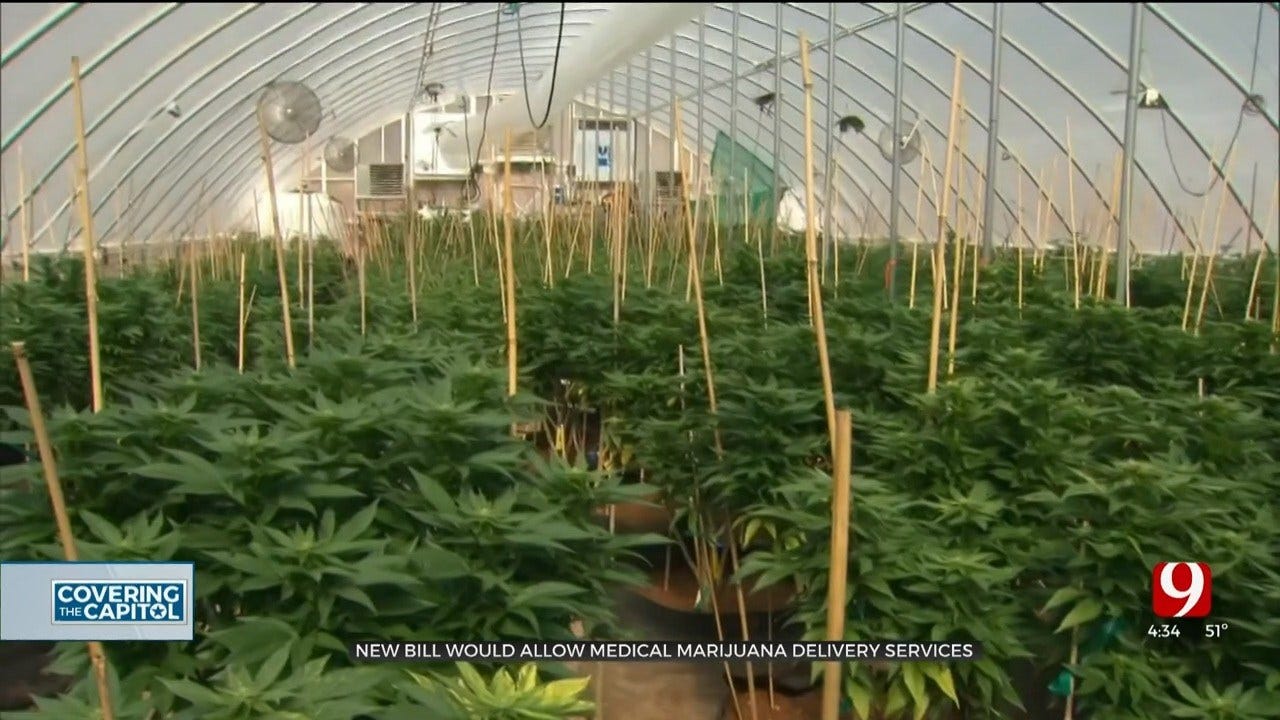 New Bill Would Allow Medical Marijuana Delivery Services