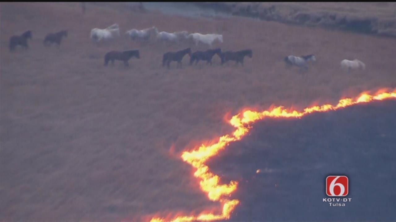 WATCH NOW: Wild Horses Escape Osage County Grass Fire