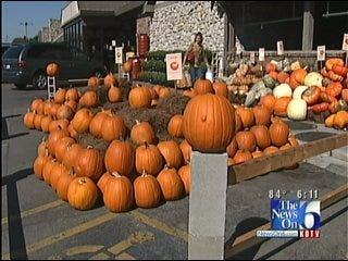 Gnarly Gourds And Strange Squash Available In Tulsa