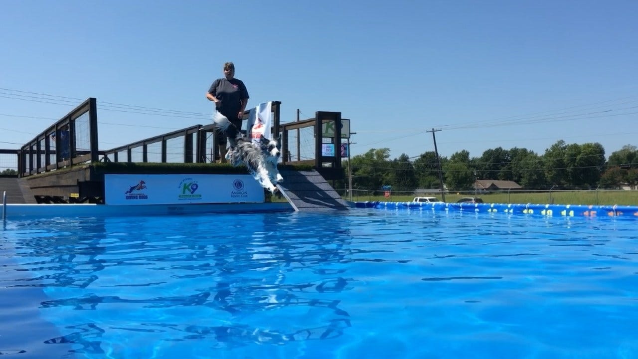 Broken Arrow Dog Dock Diving Competition Set For This Weekend