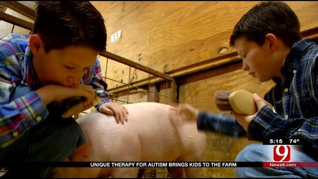 Unique Therapy For Autism Brings Kids To The Farm