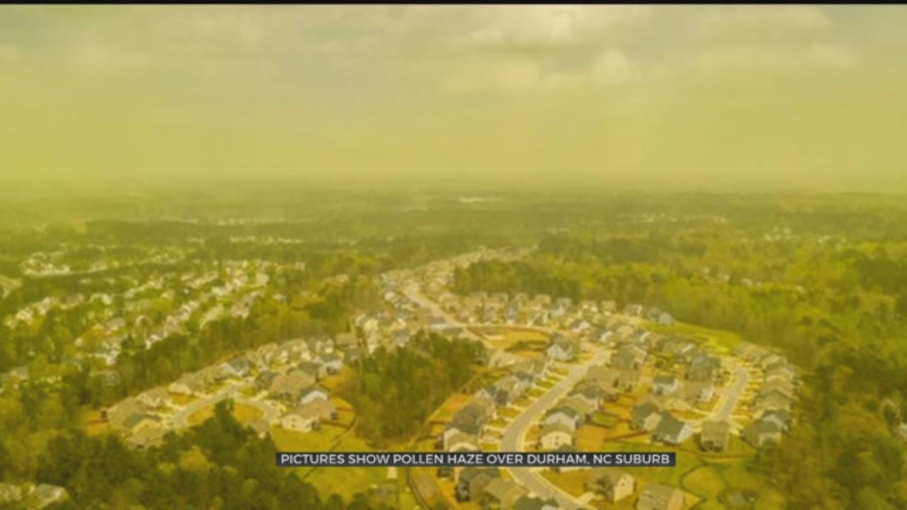 LOOK: Pictures Show Pollen Haze Over Durham, NC Suburb