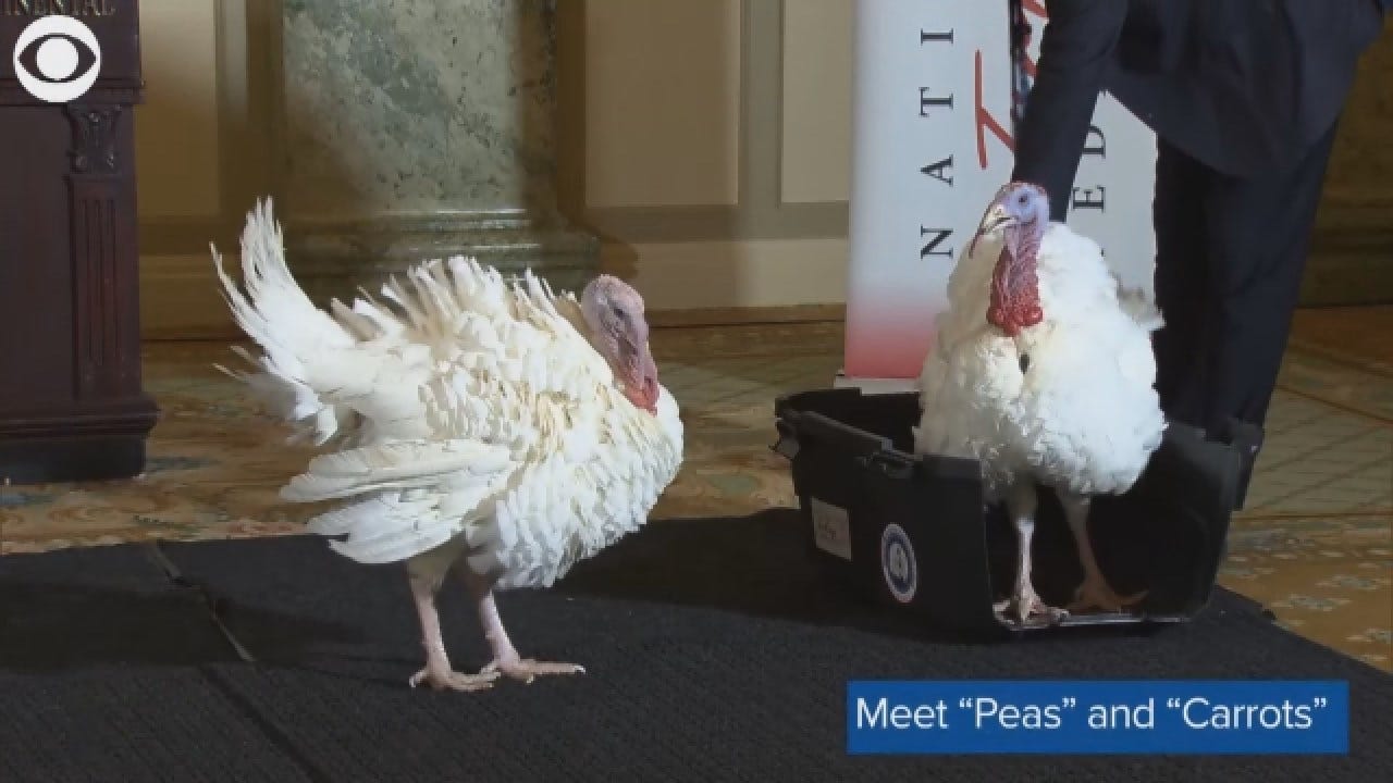 Which Turkey Will Get Presidential Pardon? 'Peas' Or 'Carrots'