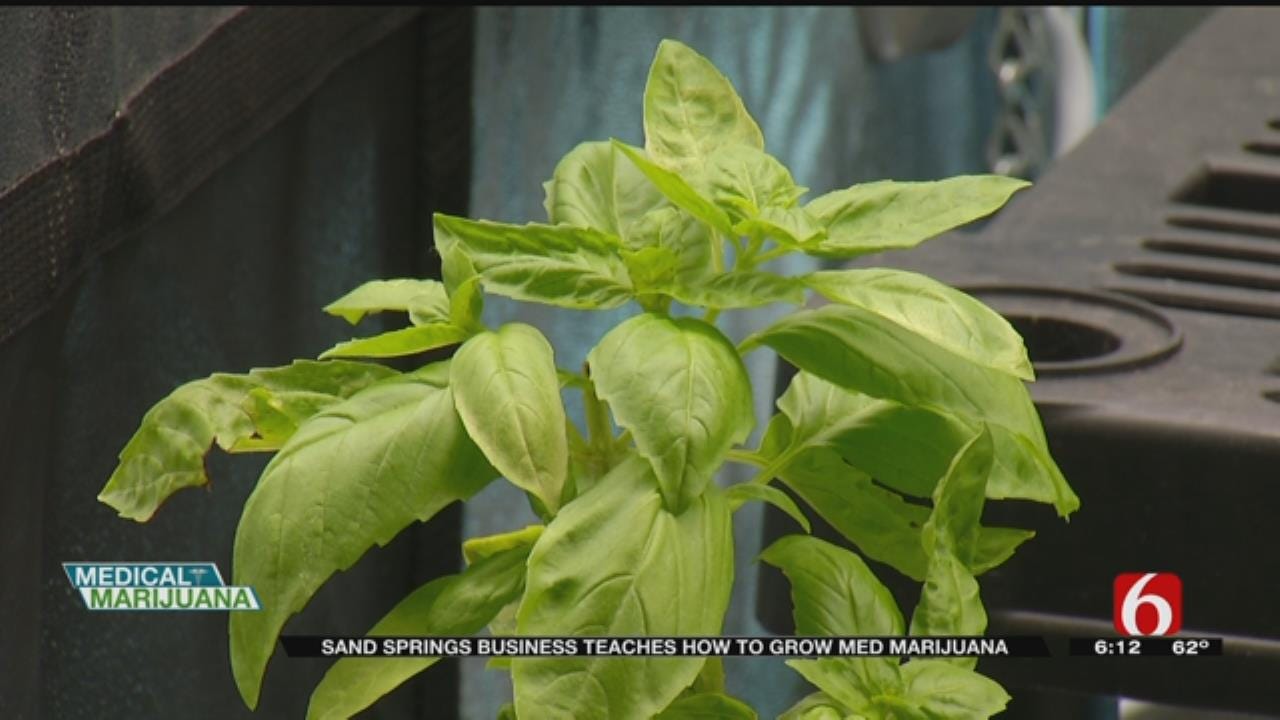 Sand Springs Business Teaches How To Grow Marijuana