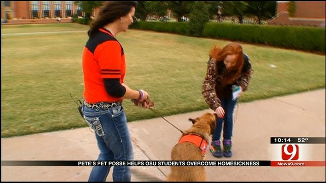 OSU Welcomes Two New Furry Friends To 'Pete's Pet Posse'