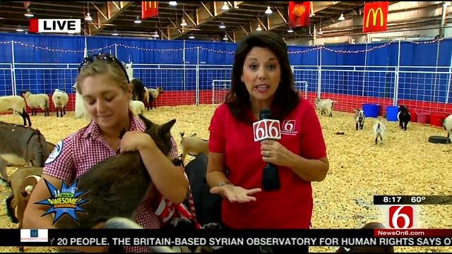 LeAnne Taylor Visits The Petting Barn At The Tulsa State Fair