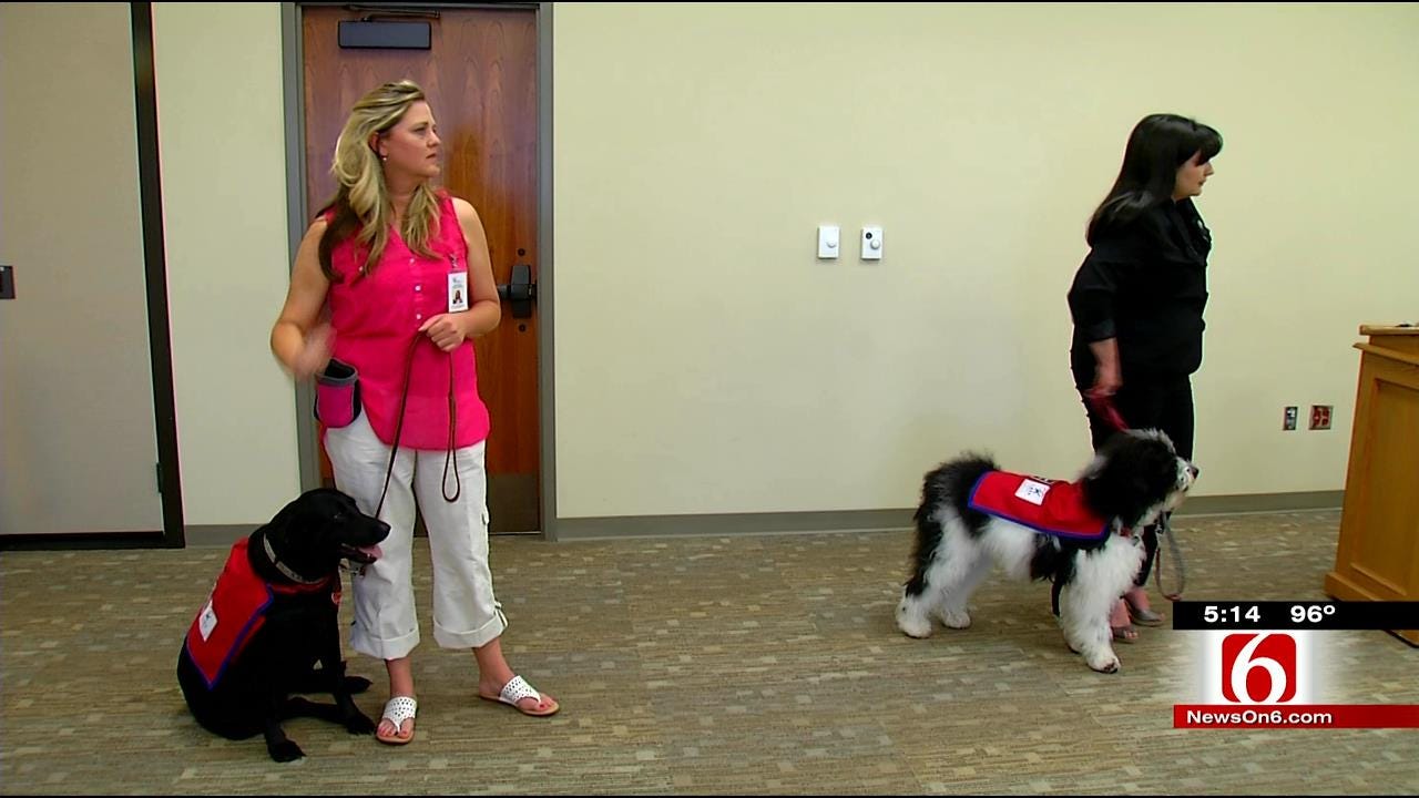 Dogs Used In Oklahoma Courtrooms To Comfort Crime Victims