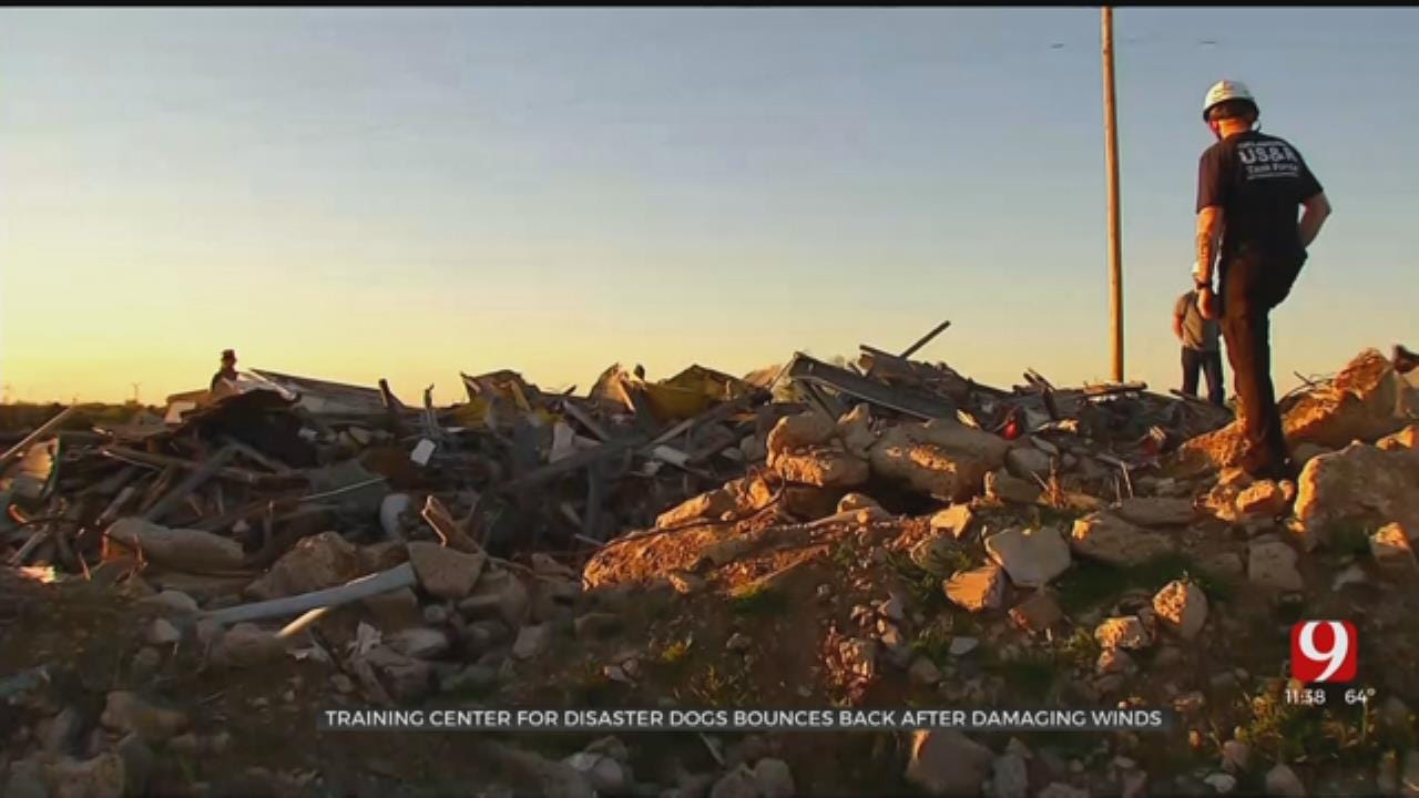 Training Center For Disaster Dogs Recovering After Damaging Winds