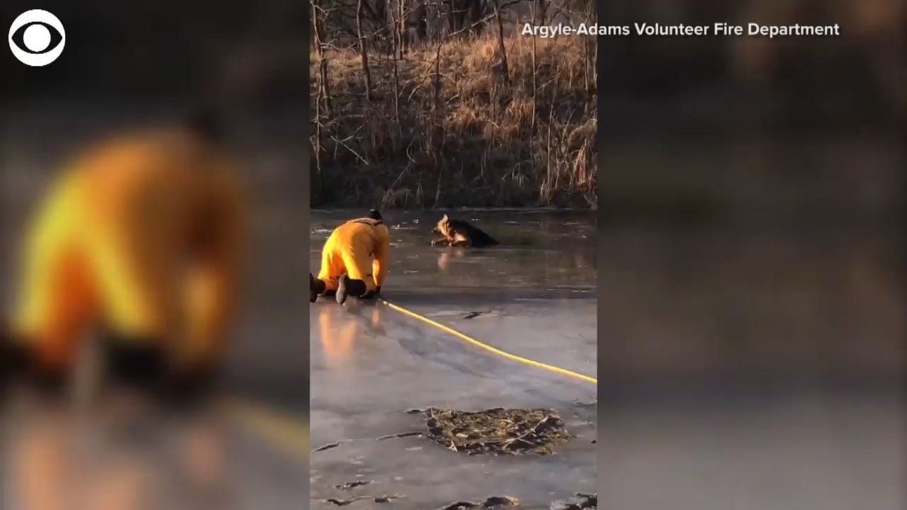 WATCH: Wisconsin Firefighters Rescue Dog Who Fell Through Ice
