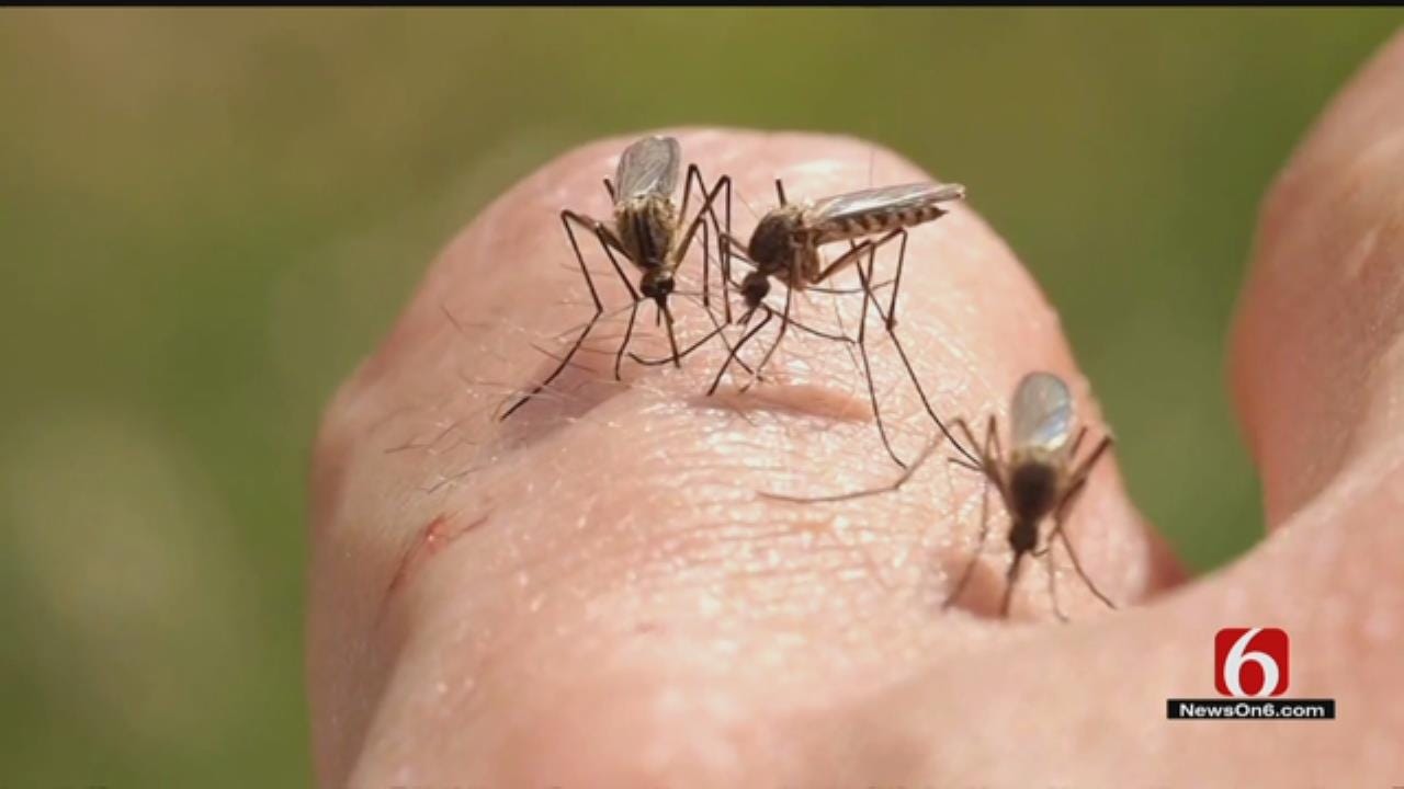 Concerns On The Rise After West Nile-Infected Mosquitoes Found In Tulsa County