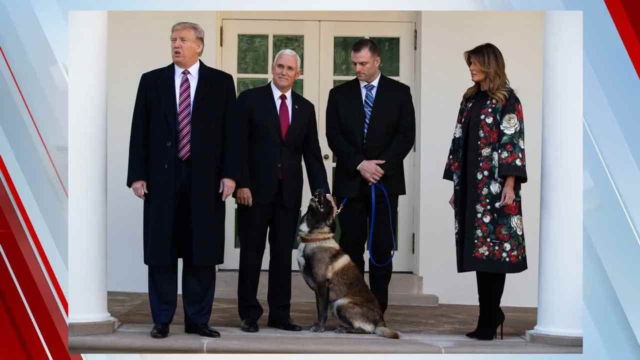 President Trump Honors Conan, Hero Dog From ISIS Raid